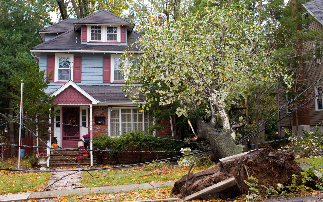 Storm Damage Advice from a Lawyer in Vestavia Hills, AL